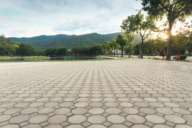 Best Decorative Driveway Pavers  in Middlebury, IN